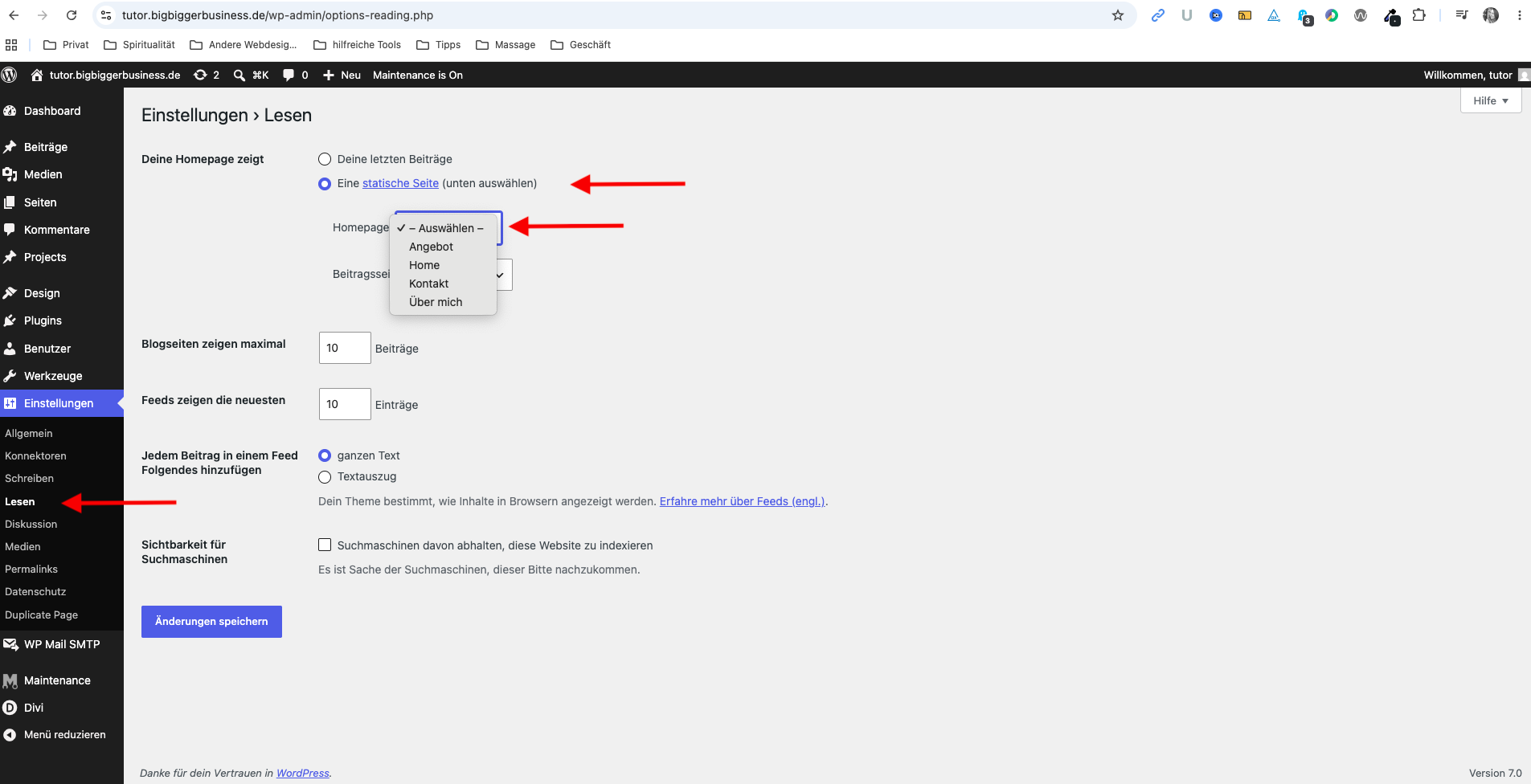 Statische Startseite und Beitragsseite in WordPress festlegen