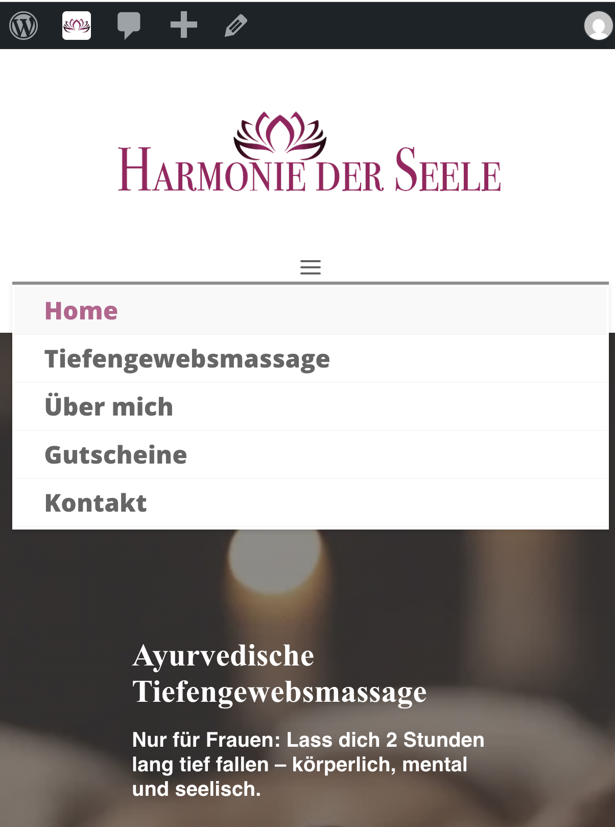 Ansicht mobiles Menü